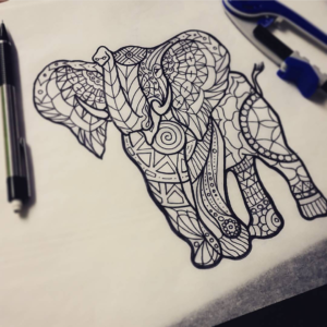 Kira Elephant